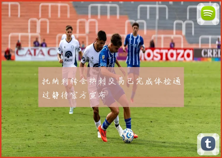 托纳利转会热刺交易已完成体检通过静待官方宣布